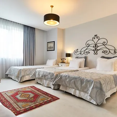Hotel Celal Sultan Special Class 4*